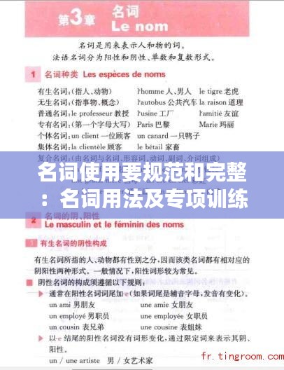 名词使用要规范和完整：名词用法及专项训练 