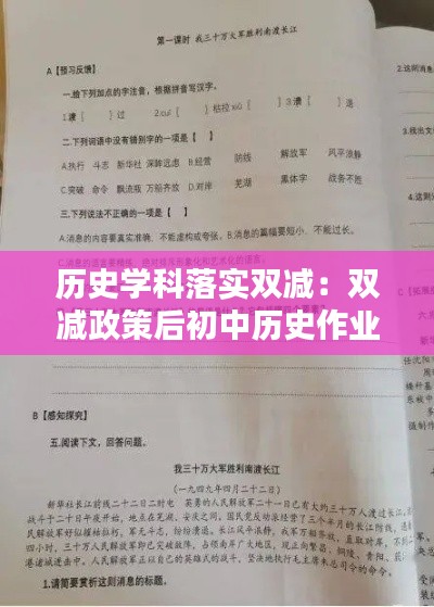 历史学科落实双减：双减政策后初中历史作业 