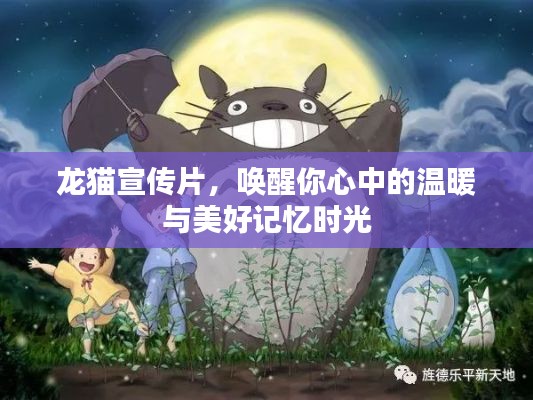 明眸皓齿 第2页