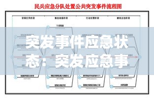 突发事件应急状态：突发应急事件处置流程 