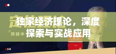 独家经济理论，深度探索与实战应用