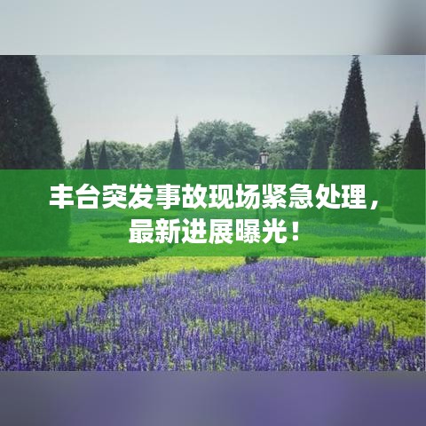 林下风气 第2页
