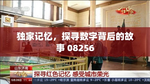 独家记忆，探寻数字背后的故事 08256