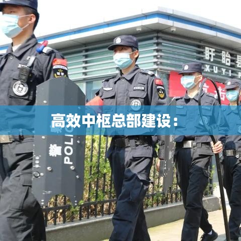 高效中枢总部建设： 