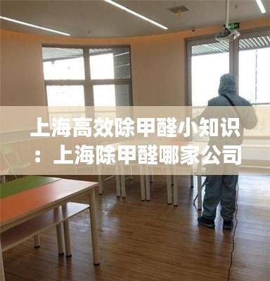 上海高效除甲醛小知识：上海除甲醛哪家公司最专业 