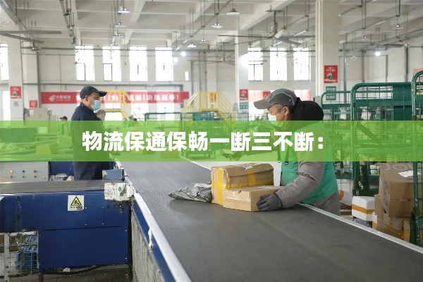 物流保通保畅一断三不断： 