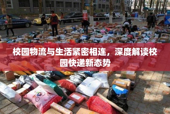 校园物流与生活紧密相连，深度解读校园快递新态势