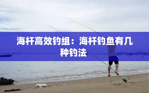 海杆高效钓组：海杆钓鱼有几种钓法 