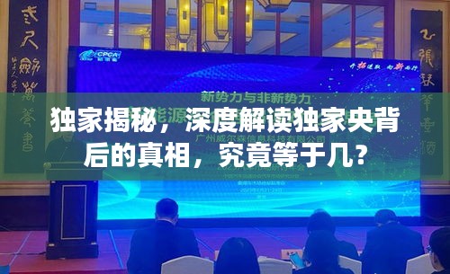 独家揭秘，深度解读独家央背后的真相，究竟等于几？