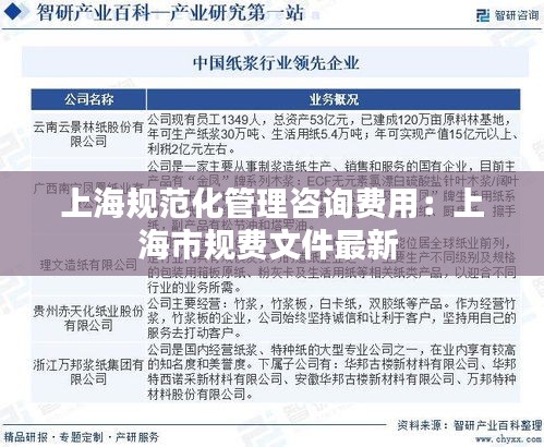 上海规范化管理咨询费用：上海市规费文件最新 