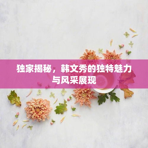 独家揭秘，韩文秀的独特魅力与风采展现