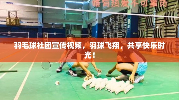 羽毛球社团宣传视频，羽球飞翔，共享快乐时光！