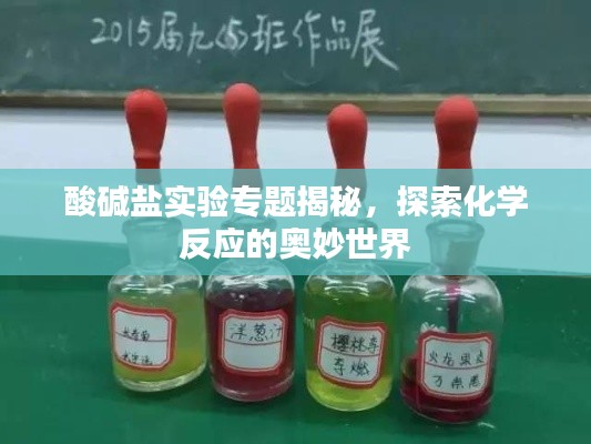 酸碱盐实验专题揭秘，探索化学反应的奥妙世界