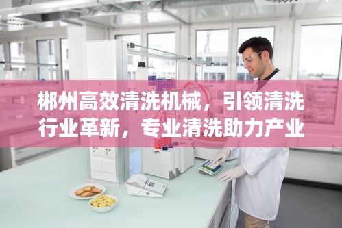 郴州高效清洗机械，引领清洗行业革新，专业清洗助力产业飞跃
