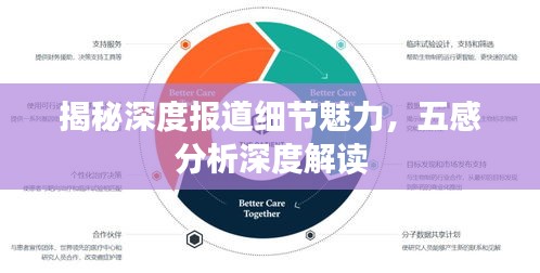 揭秘深度报道细节魅力，五感分析深度解读