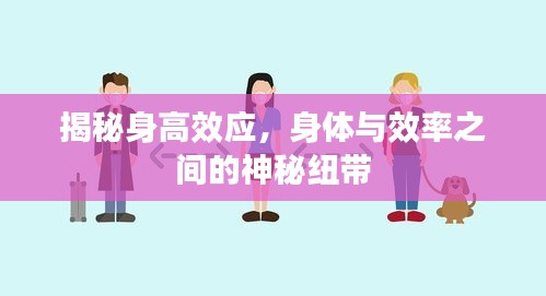 揭秘身高效应，身体与效率之间的神秘纽带