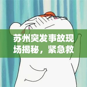 苏州突发事故现场揭秘，紧急救援与应对情况揭秘！