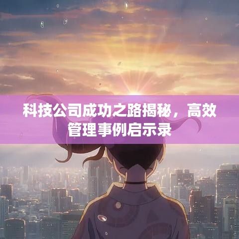 科技公司成功之路揭秘，高效管理事例启示录