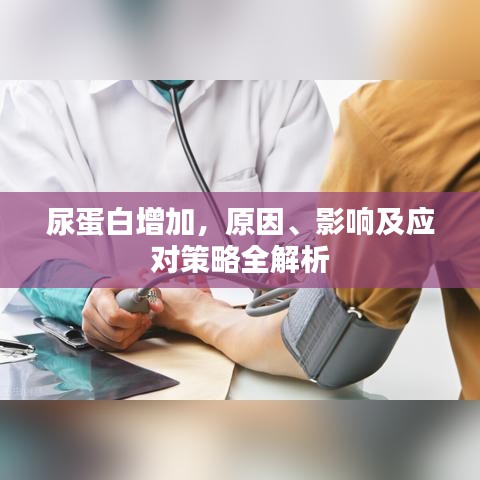 尿蛋白增加，原因、影响及应对策略全解析