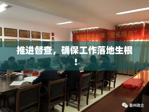 推进督查，确保工作落地生根！