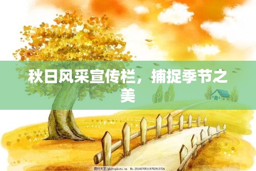 秋日风采宣传栏，捕捉季节之美