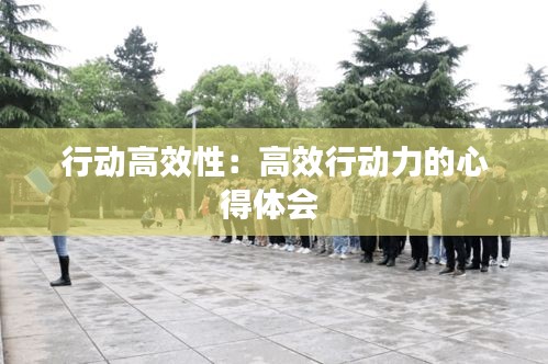 行动高效性：高效行动力的心得体会 