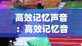 高效记忆声音：高效记忆音乐 
