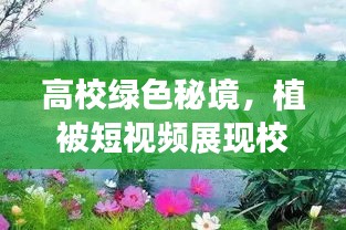 高校绿色秘境，植被短视频展现校园生态之美