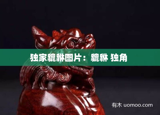 独家貔貅图片：貔貅 独角 