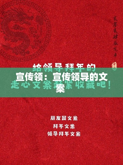 宣传领：宣传领导的文案 