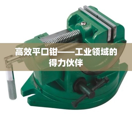高效平口钳——工业领域的得力伙伴