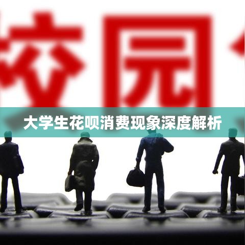 大学生花呗消费现象深度解析