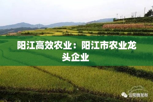 阳江高效农业：阳江市农业龙头企业 