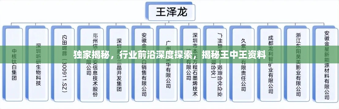 夯雀儿先飞 第3页