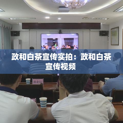 政和白茶宣传实拍：政和白茶宣传视频 