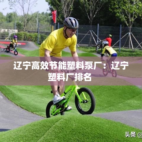 辽宁高效节能塑料泵厂：辽宁塑料厂排名 