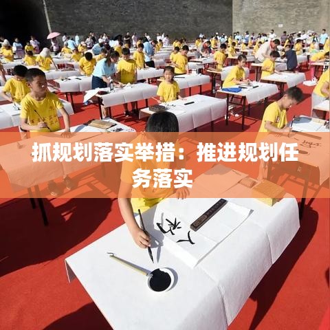 抓规划落实举措：推进规划任务落实 
