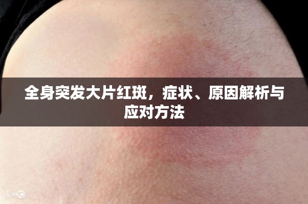 人贵自立 第2页