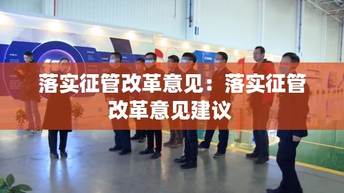 落实征管改革意见：落实征管改革意见建议 