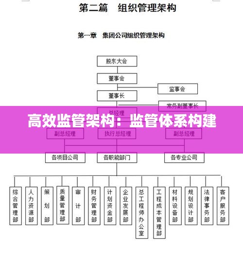 高效监管架构：监管体系构建 