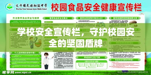 学校安全宣传栏，守护校园安全的坚固盾牌
