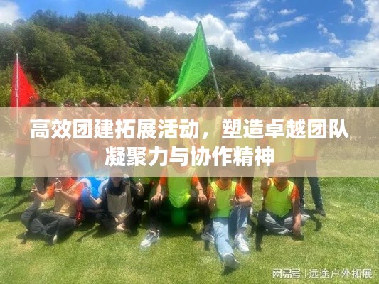 高效团建拓展活动，塑造卓越团队凝聚力与协作精神