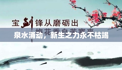 泉水涌动，新生之力永不枯竭
