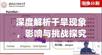 深度解析干旱现象，影响与挑战探究