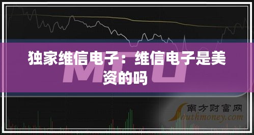 独家维信电子：维信电子是美资的吗 