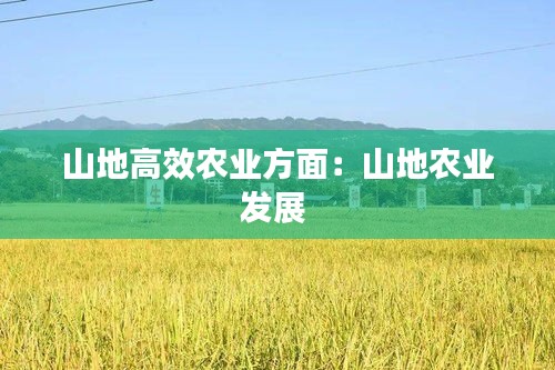 山地高效农业方面：山地农业发展 