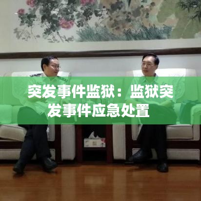 突发事件监狱：监狱突发事件应急处置 