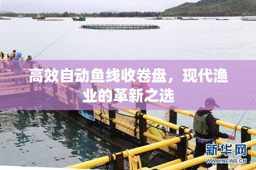 高效自动鱼线收卷盘，现代渔业的革新之选
