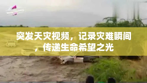 突发天灾视频，记录灾难瞬间，传递生命希望之光