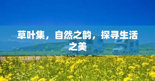 草叶集，自然之韵，探寻生活之美